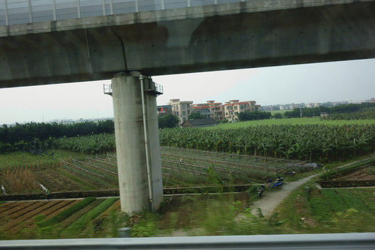 高速公路立交橋