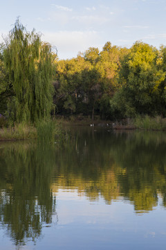 秋景