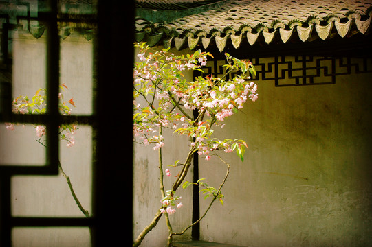 拙政園