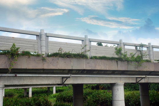 橋 小河