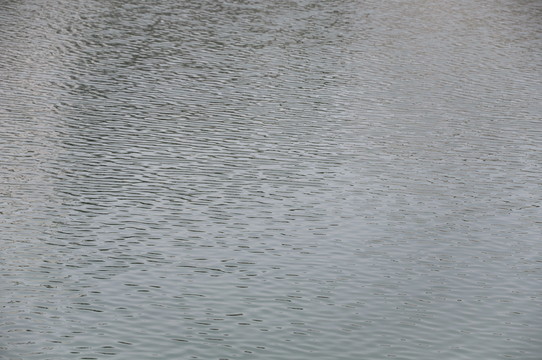 水波紋