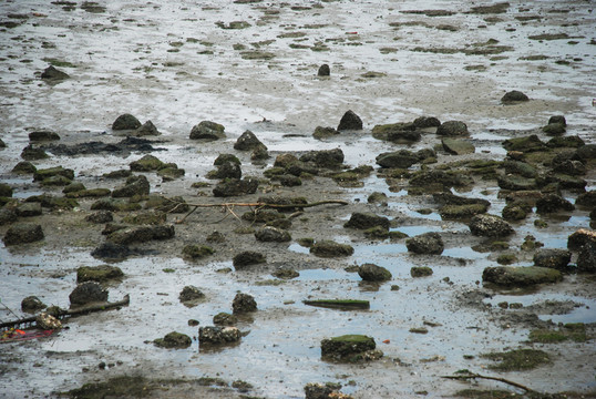 海床 海底