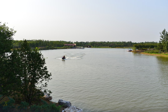湖面沖浪 高清