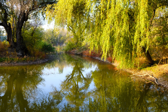 湖泊 小河