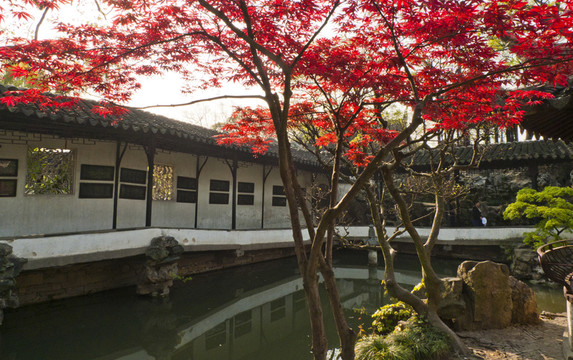 拙政園