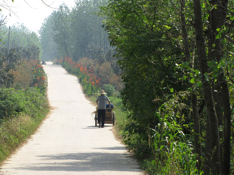 鄉(xiāng)村公路 村村通水泥路