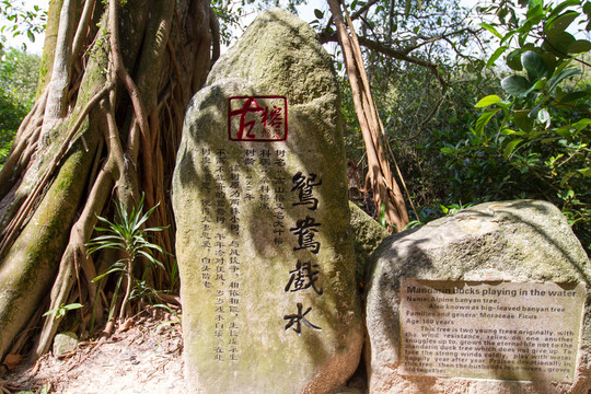 古榕部落景區(qū) 石刻 鴛鴦戲水