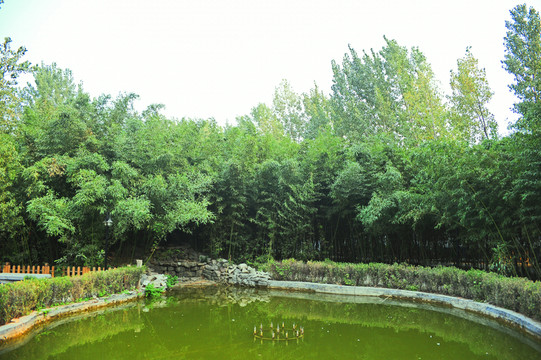 個(gè)園 可放大素材