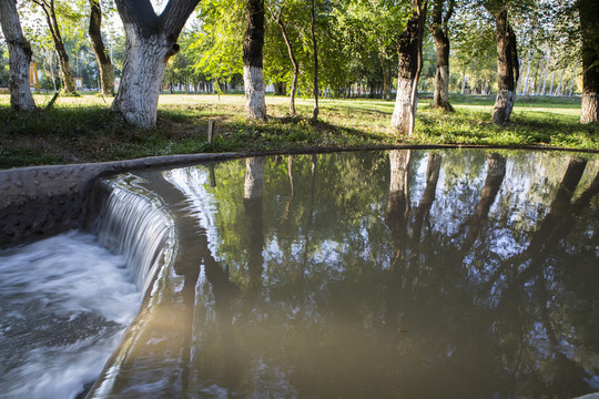 水   樹林