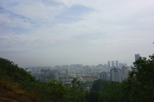 大南山風(fēng)景