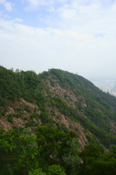 大南山風(fēng)景