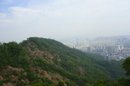 大南山風(fēng)景