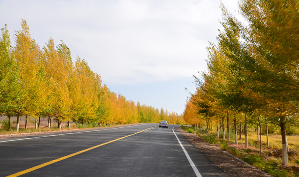 公路