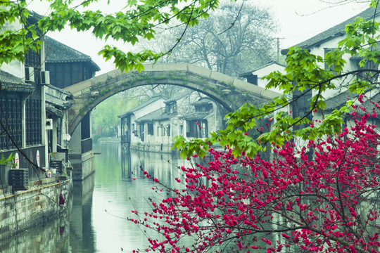 南潯古鎮(zhèn) 春天 桃花