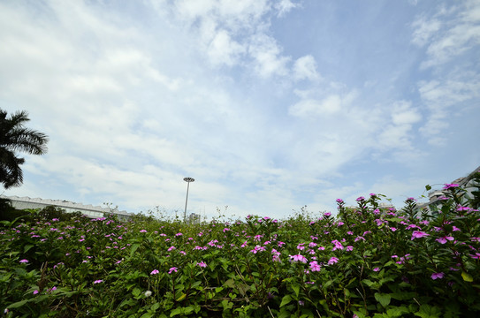 藍天