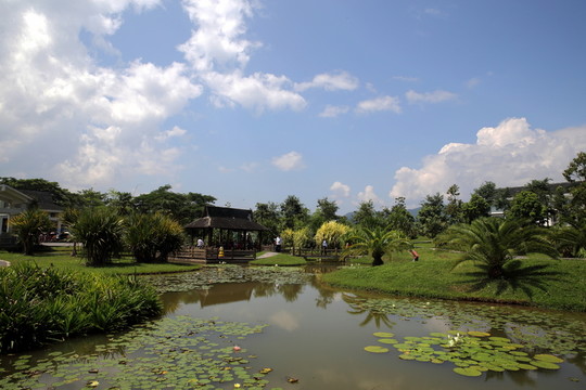 西雙版納熱帶植物園