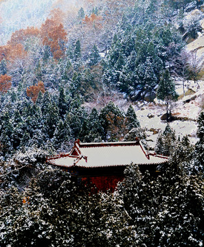 深山藏古寺