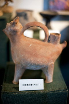 上海自然博物館 考古 自然科學(xué)