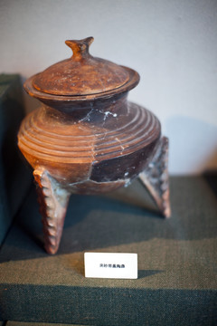 上海自然博物館 考古 自然科學(xué)