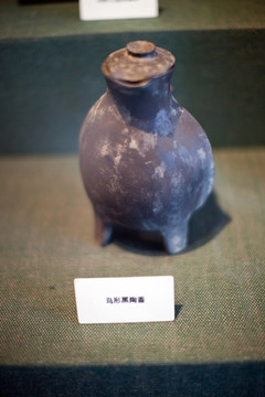 上海自然博物館 考古 自然科學