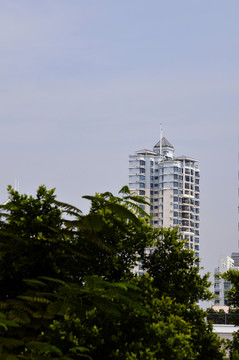 城市之巔