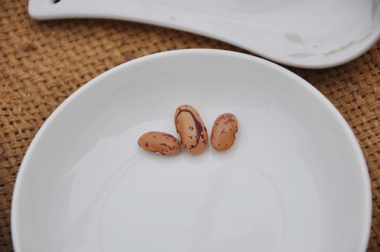 江豆