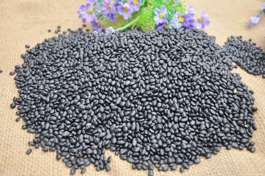 黑豆