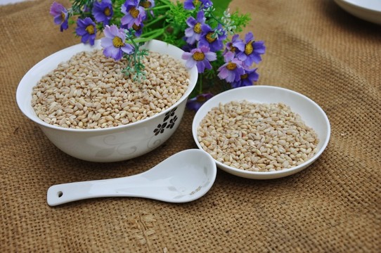 麥仁