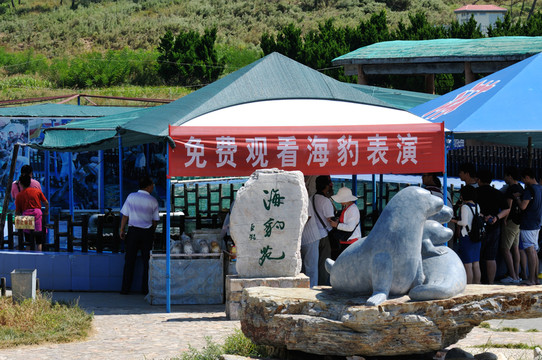 蓬萊長島月亮灣海豹苑