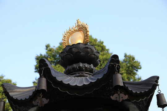 南普陀寺智慧燈