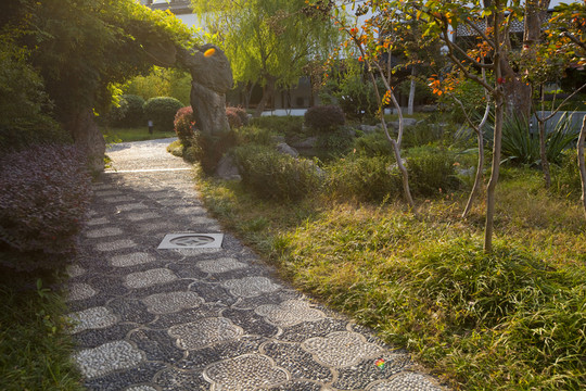 花園 江寧織造博物館 庭院