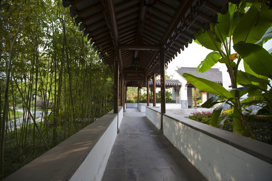 江寧織造博物館 庭院 園林