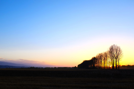 夕陽