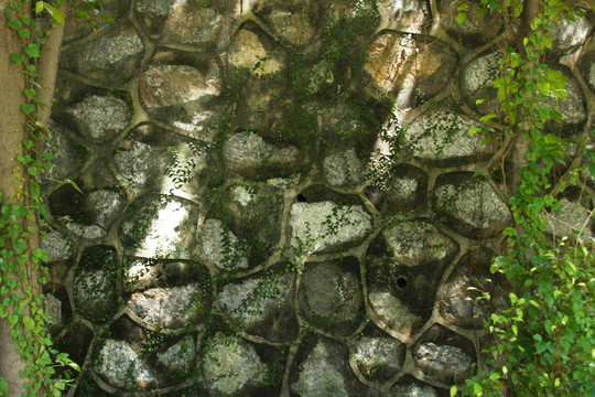 青苔老墻