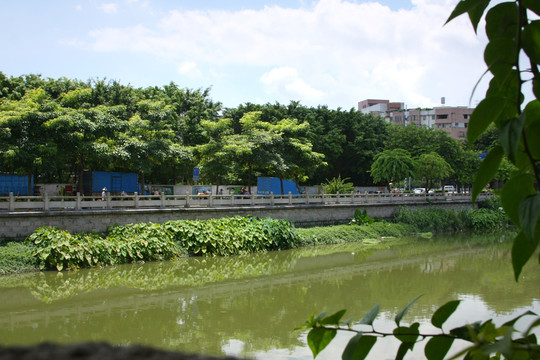 河沖