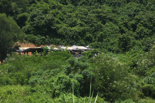 森林住宅