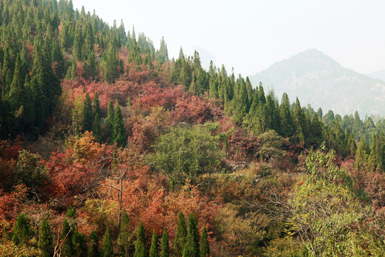 秋染太行山