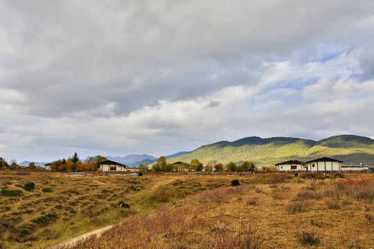香格里拉田園秋色