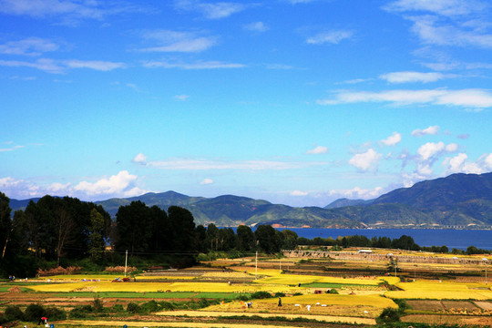 大理風(fēng)光