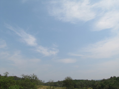 藍(lán)天白云荒草坡