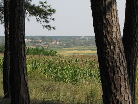 林間田園