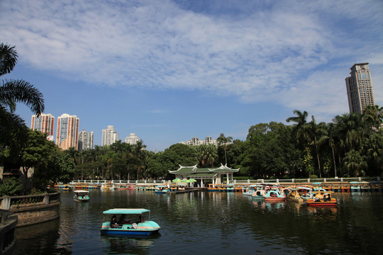 公園湖光景色