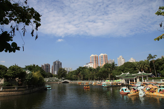 公園湖光景色