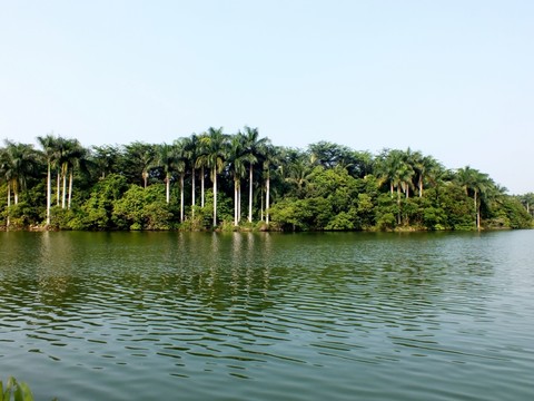 湖水