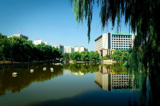 城市公園