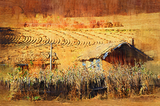 山村農(nóng)家 電腦畫