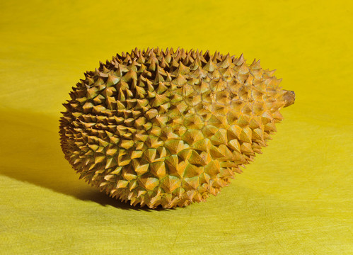 榴蓮