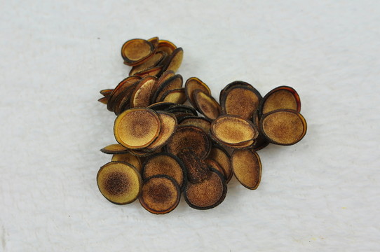 鹿茸片