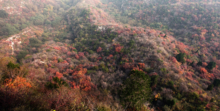 秋色染紅太行山