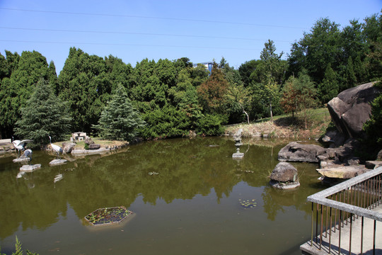 公園湖水